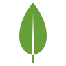 MongoDB